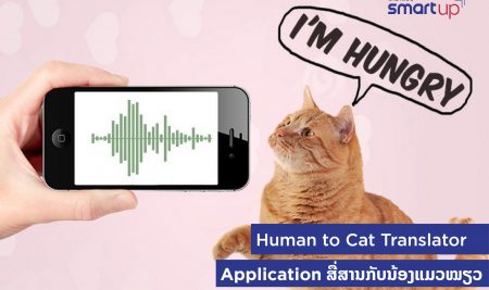 Human to Cat Translator Application ສື່ສານກັບນ້ອງແມວໝຽວ